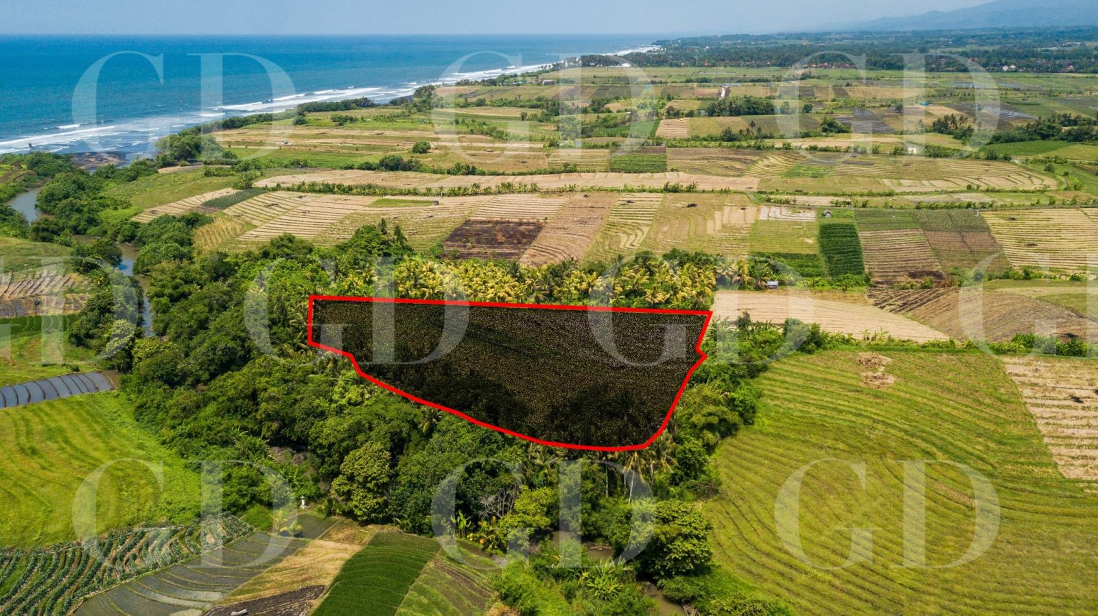 SERENE RIVERFRONT PLOT
